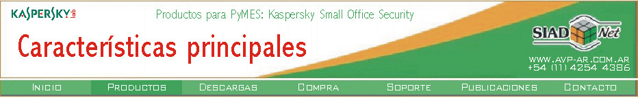 Principales características de Kaspersky Small Office Security 2: protección de gran nivel para pequeñas empresas.