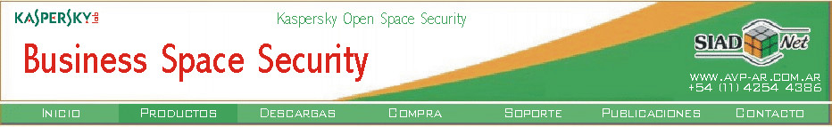 Kaspersky Business Space Security: protección de alto valor agregado para su entorno corporativo de mediana magnitud.